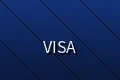 支持维萨信用卡支付